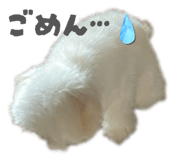 851660858