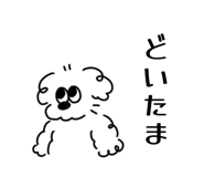851660918