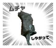 851660994