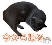 851660996