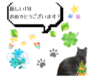 851660997