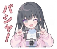 851662066