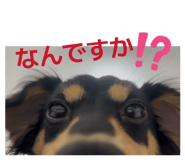 851662251