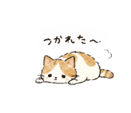 851662555
