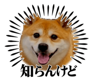 851662912