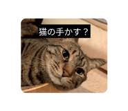 851664284