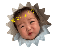 851664412