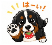 851664526
