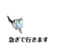 851665835