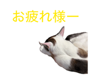 851665838