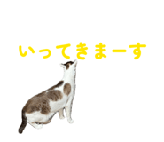 851665841