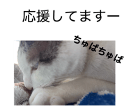 851665844