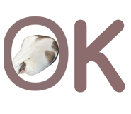 851665846