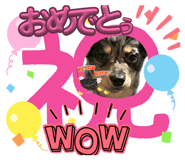 851666869