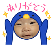 851667236