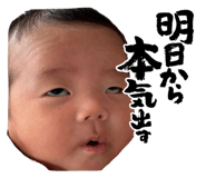 851667893