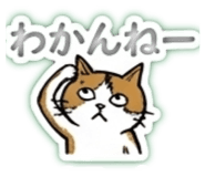 851668021