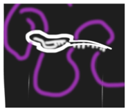 851668136