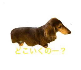 851668463