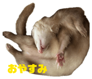 851668771