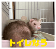 851668779