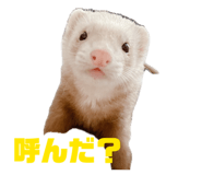 851668784