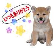 851670204