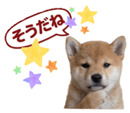 851670209