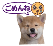 851670226