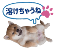 851670232