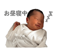 851673010