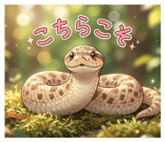 851675976