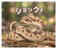 851675999