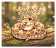 851676001
