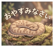 851676004