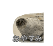 851676064