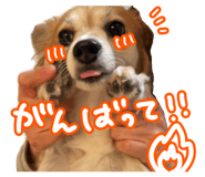 851676085