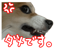 851676104
