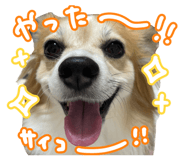 851676112