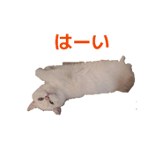 851676404