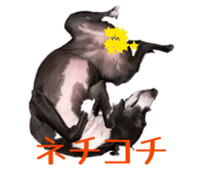 851676695