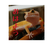 851676713