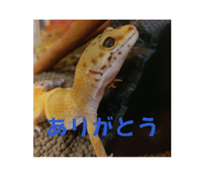 851676715