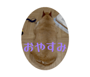851676718
