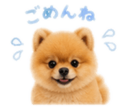 851676908