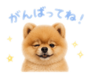 851676927