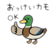 851677149