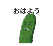 851677249