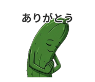 851677251