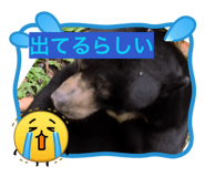 851679131
